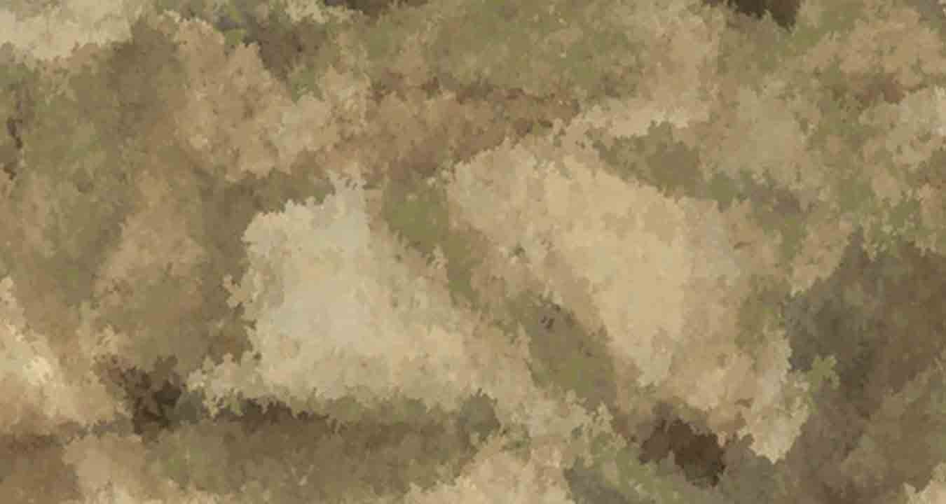 Энциклопедия камуфляжа